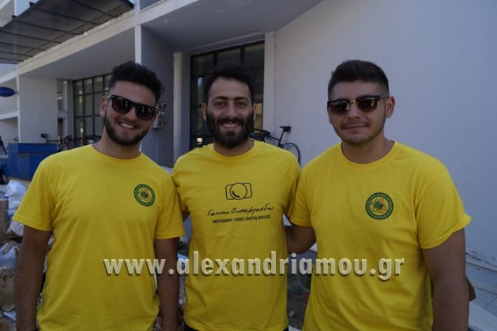 alexandriamou_1_alexandrinos_dromos103